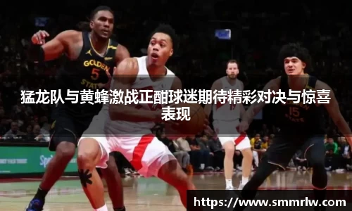 猛龙队与黄蜂激战正酣球迷期待精彩对决与惊喜表现